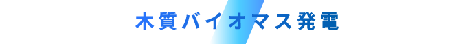 木質バイオマス発電